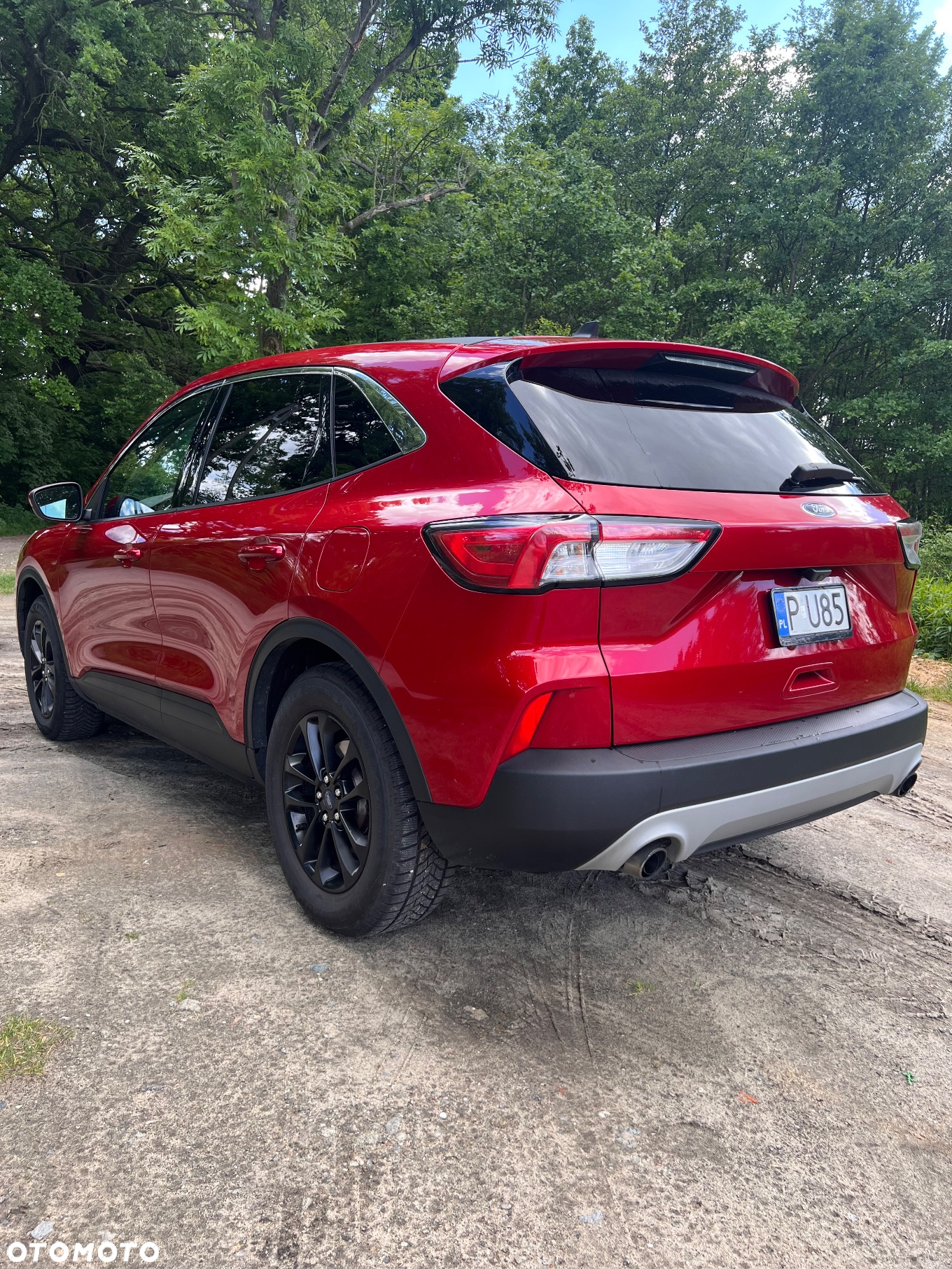Ford Escape 1.5 EcoBoost AWD SE - 3