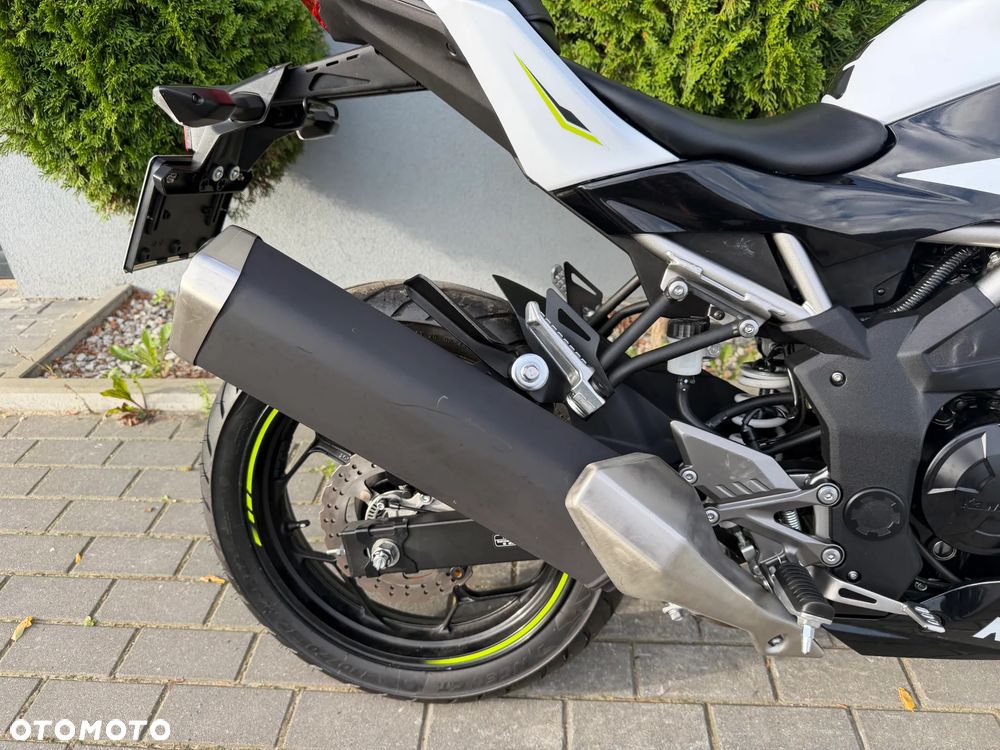 Kawasaki Ninja - 19