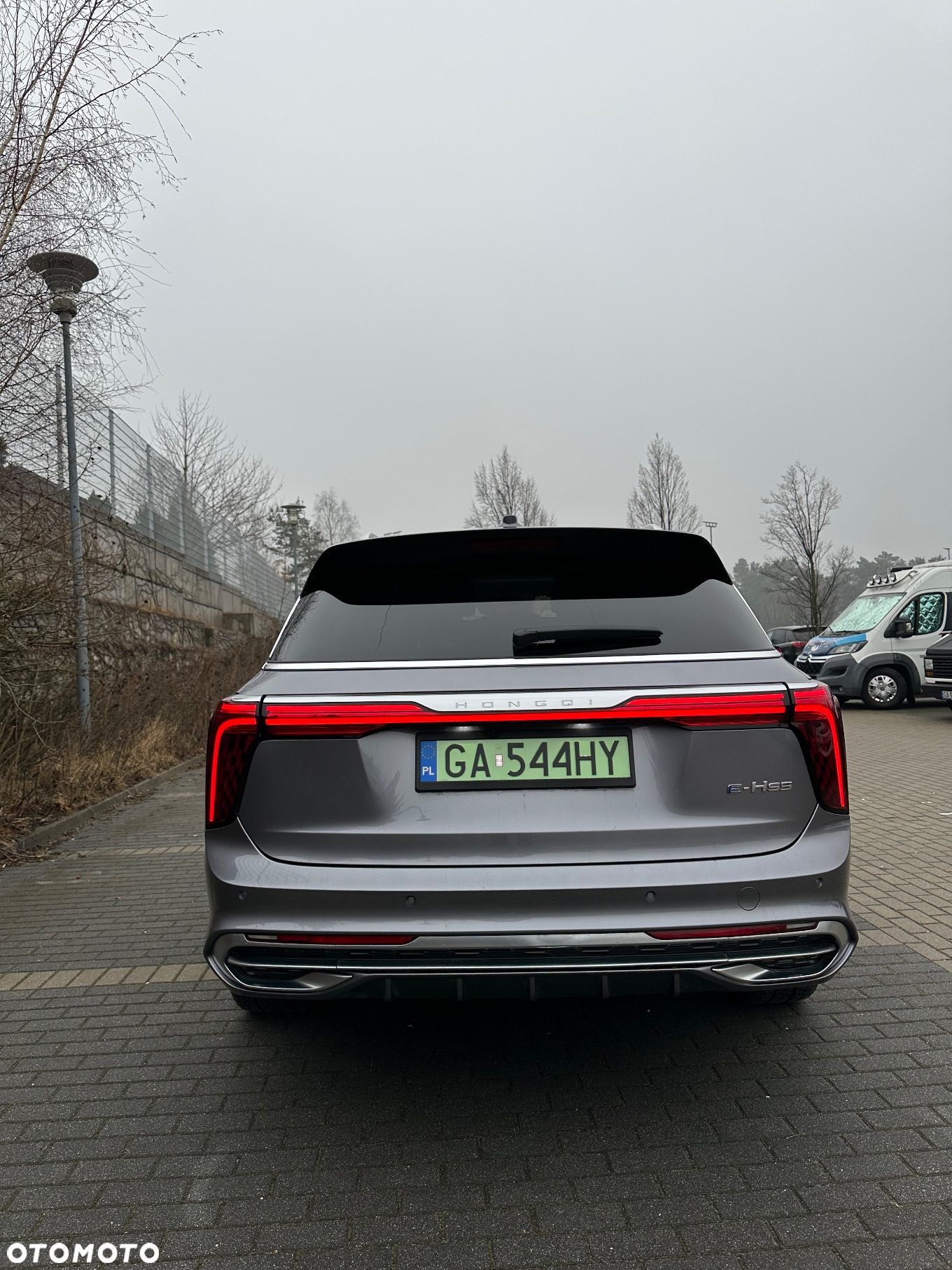 Hongqi E-HS9 - 4