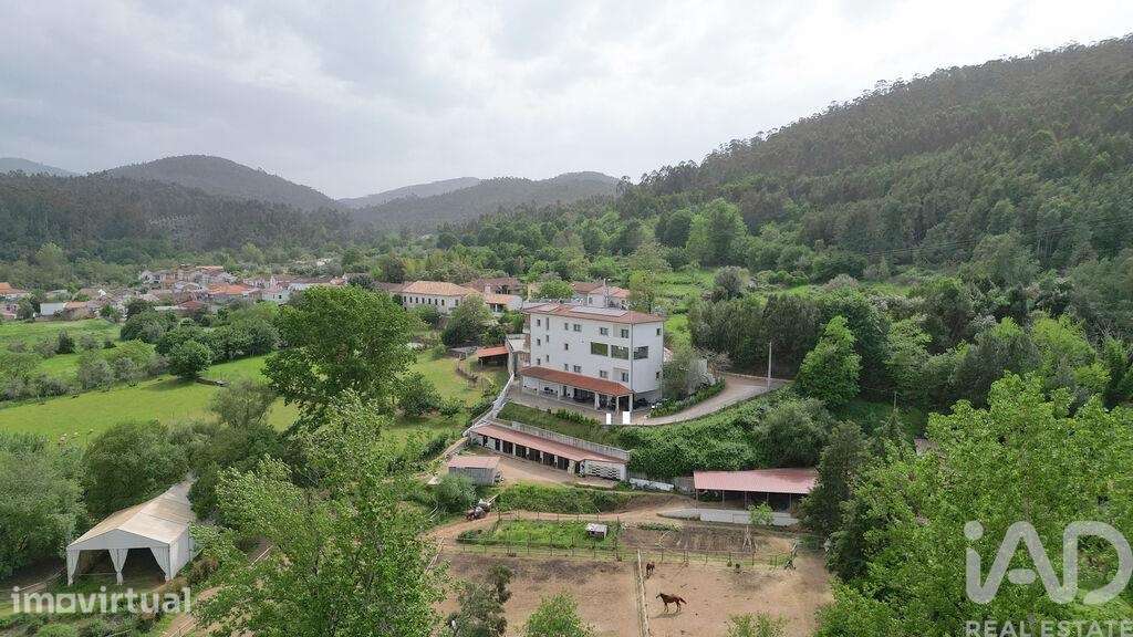 Restaurante em Miranda do Corvo de 314,00 m2 - Grande imagem: 3/30