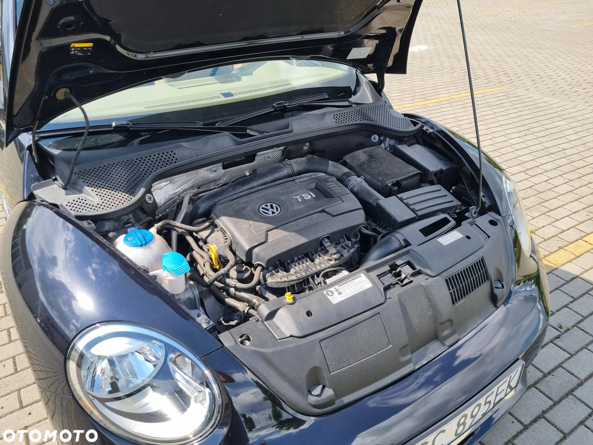 Volkswagen Beetle - 15