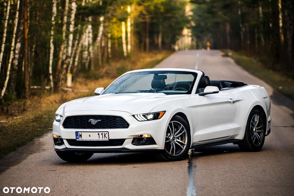 Ford Mustang Cabrio 2.3 Eco Boost - 5