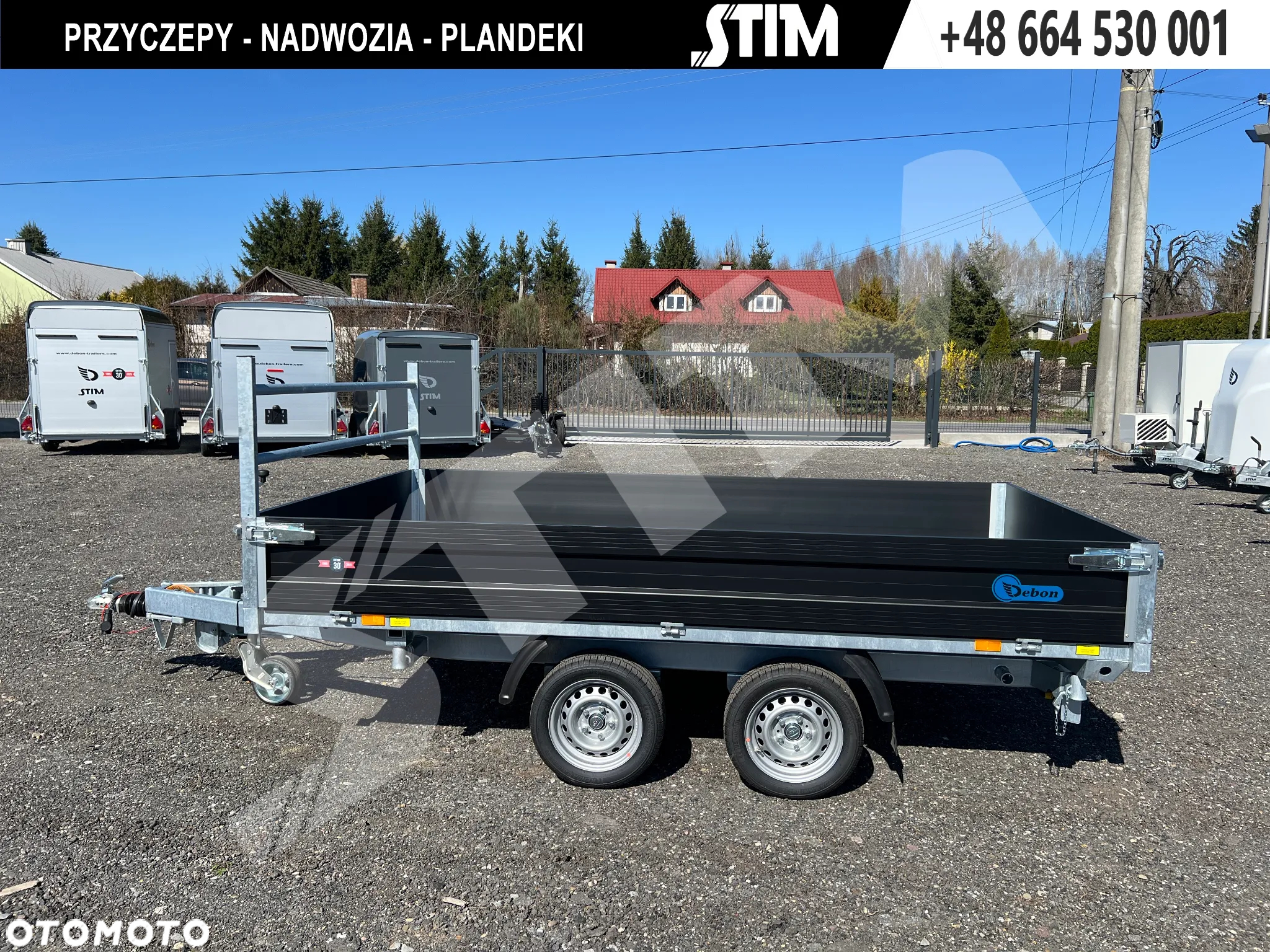 Cheval Liberte Debon PW 3.3 E - 3