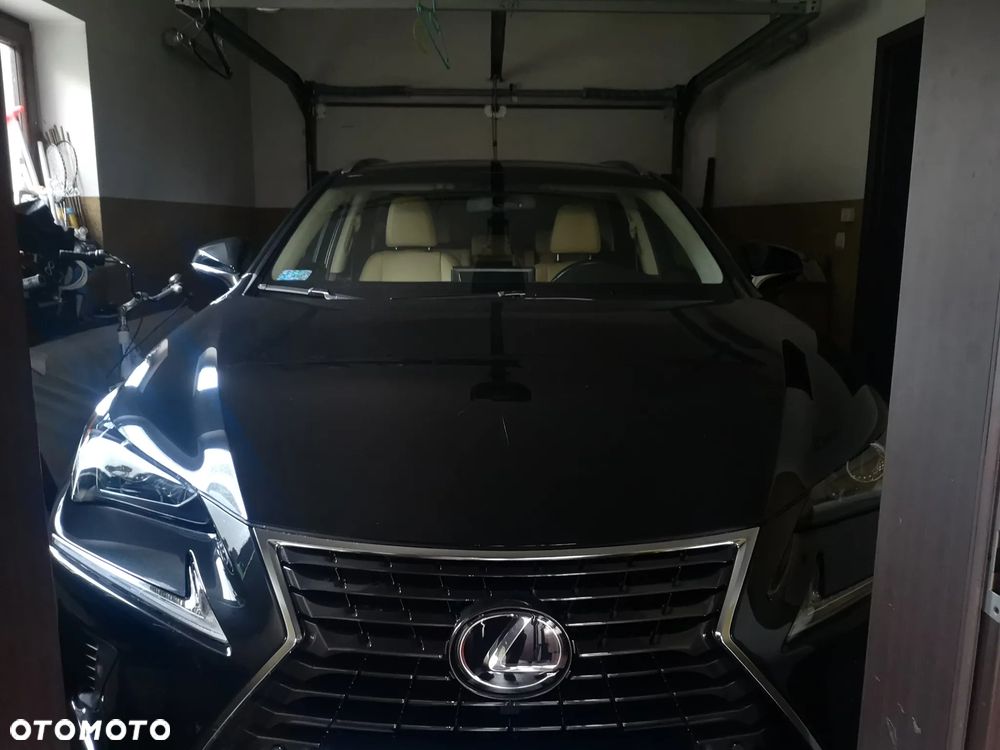 Lexus NX 300 Prestige AWD - 6