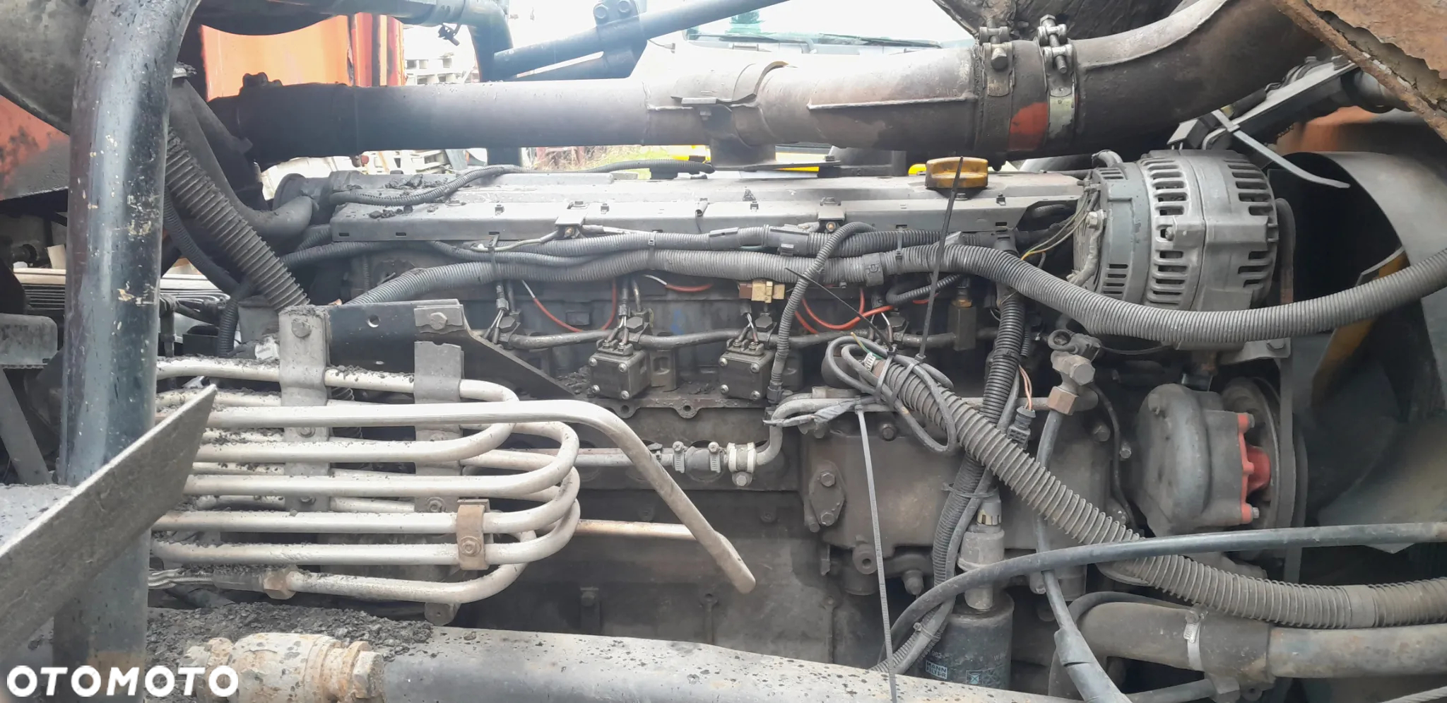 Maz 555132 - 8