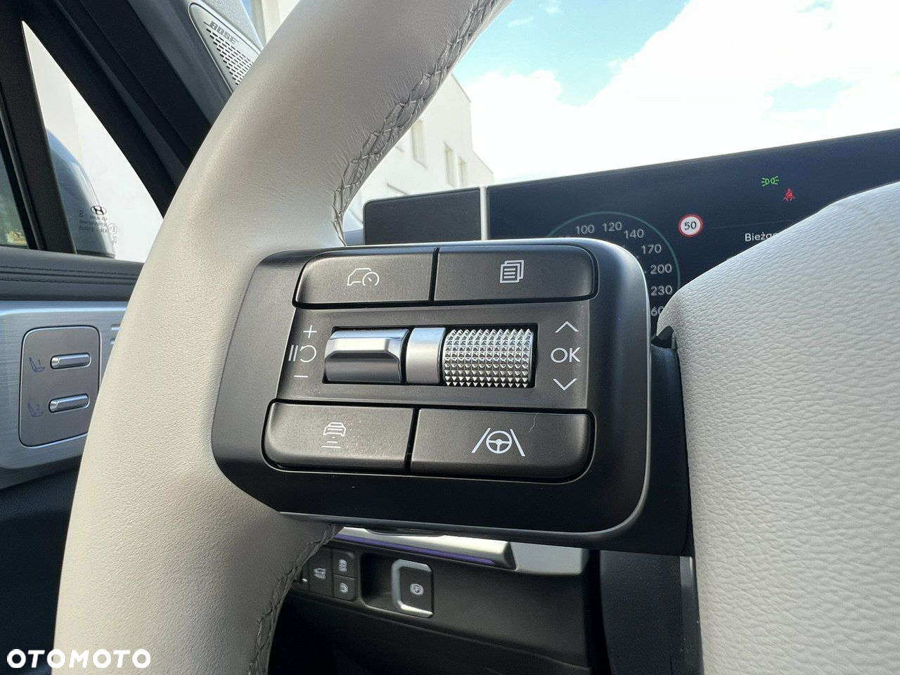 Hyundai Santa Fe - 19