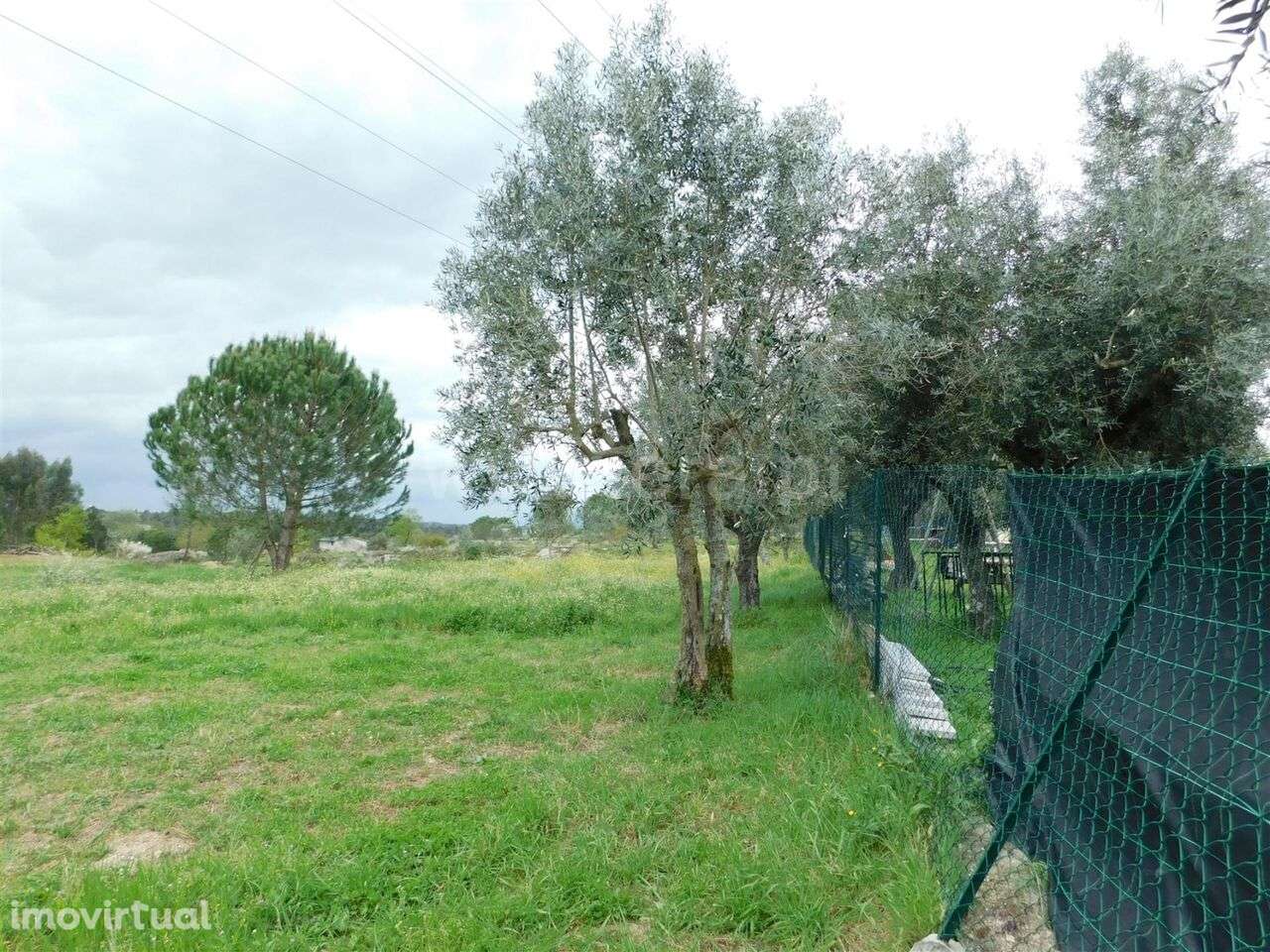 Terreno / Seia, Paranhos - Grande imagem: 5/10