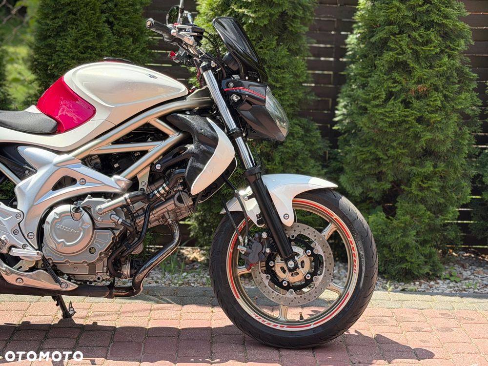 Suzuki Gladius - 10