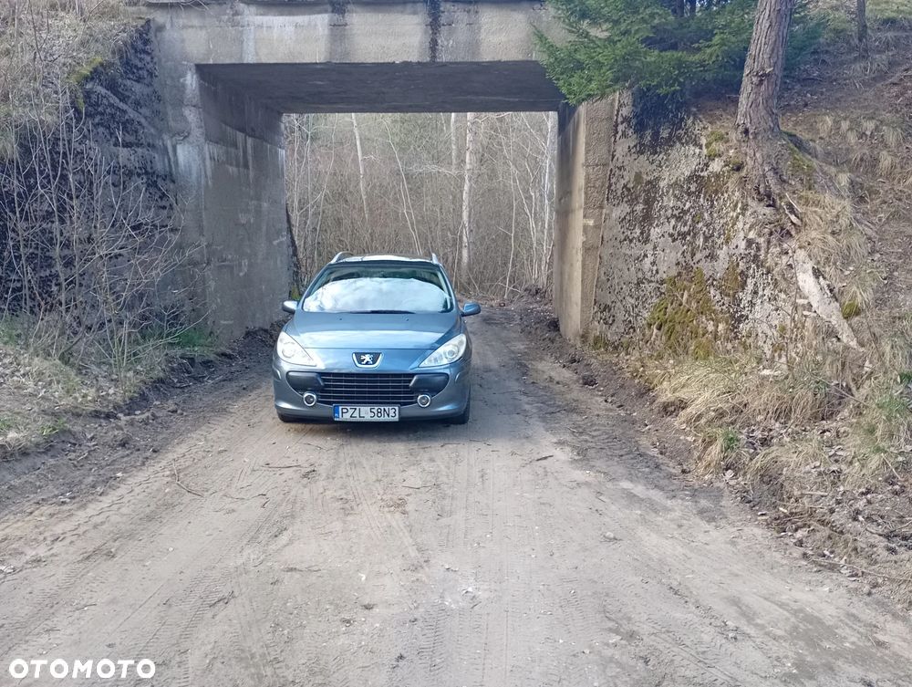 Peugeot 307 1.6 Oxygo - 1