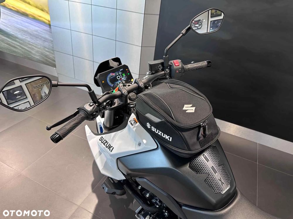 Suzuki GSX - 10
