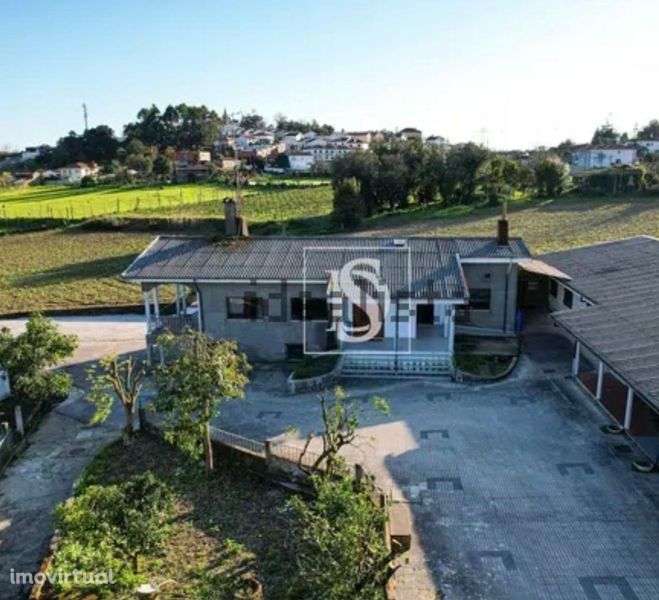 Moradia Quinta Terreno Adegas - Grande imagem: 2/8