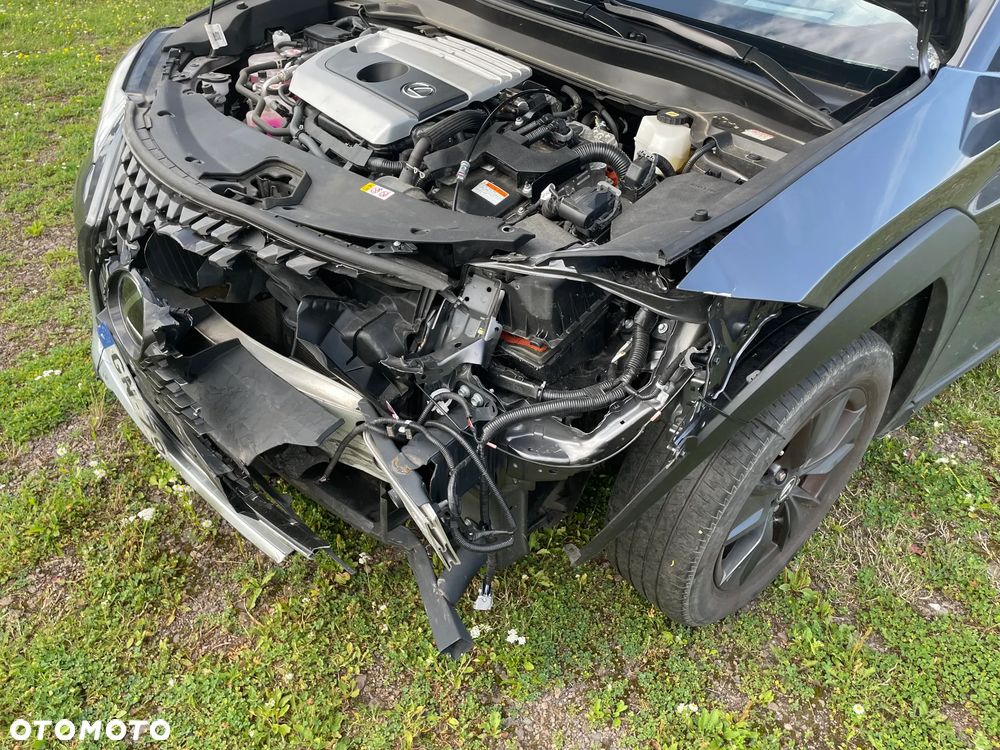 Lexus UX 250h (E-FOUR) Executive Line - 18