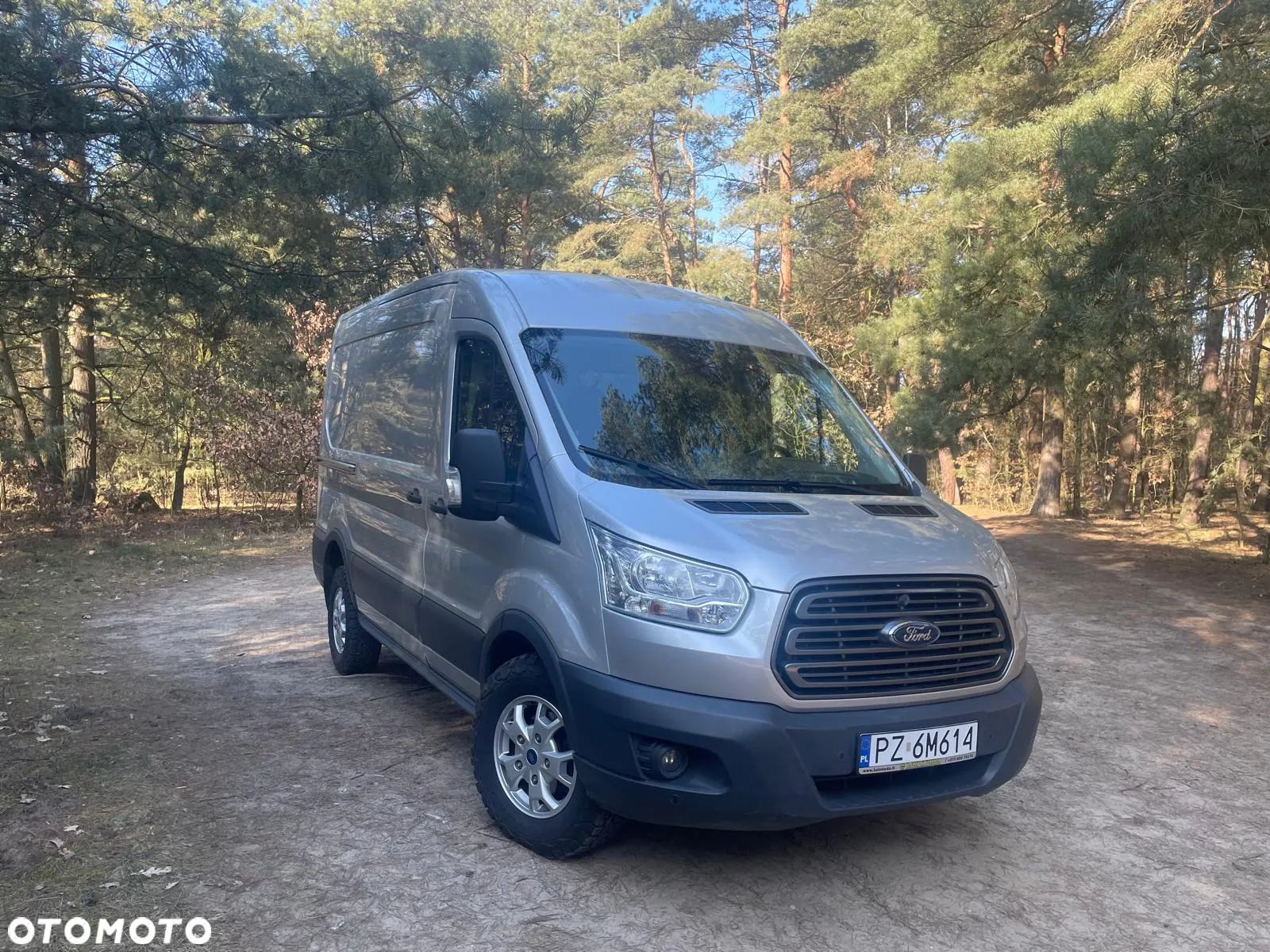 Ford Transit - 1