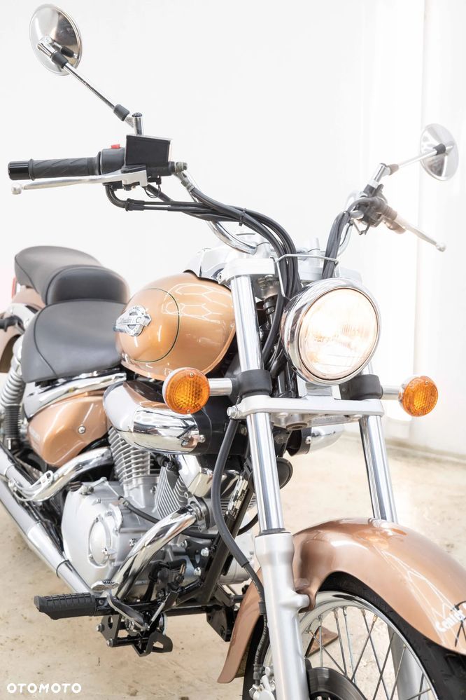 Suzuki Intruder - 11