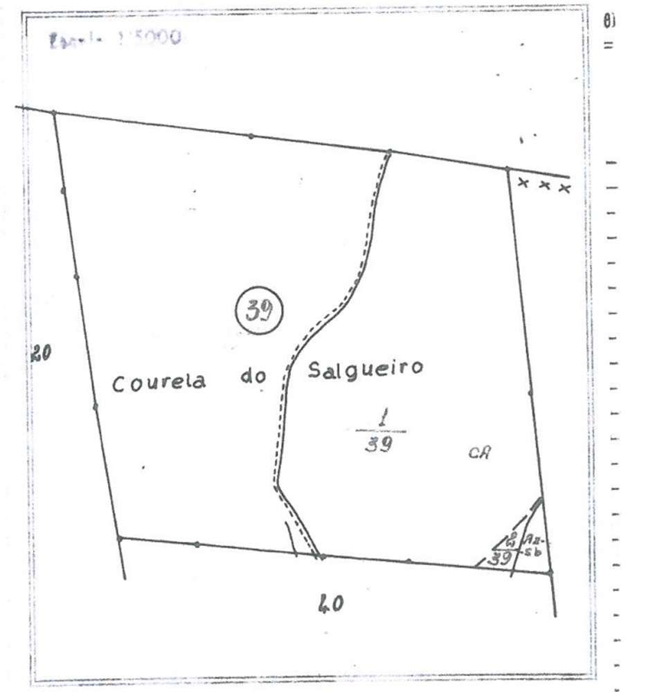 Herdade de Montado -Grândola - Grande imagem: 3/3