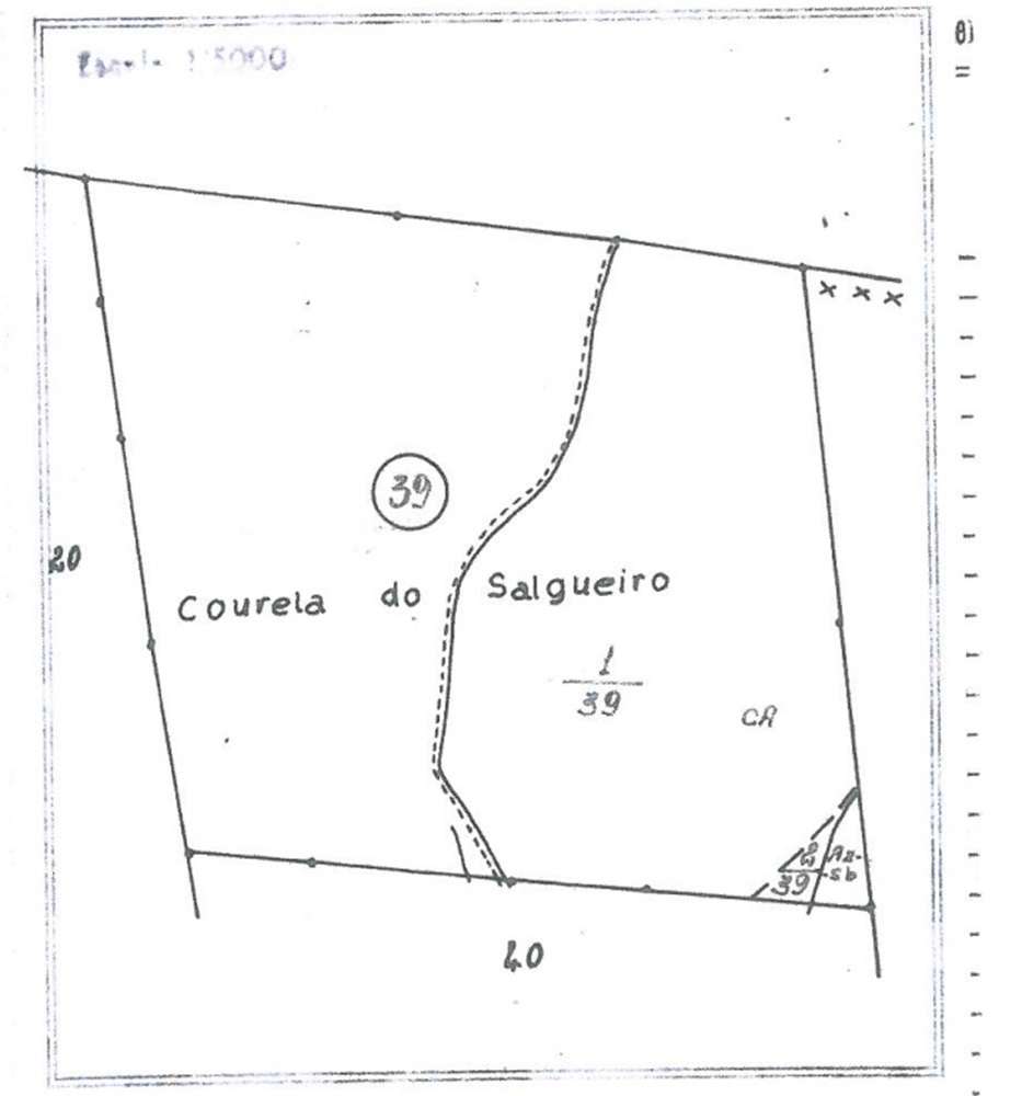 Herdade de Montado -Grândola - Grande imagem: 3/3