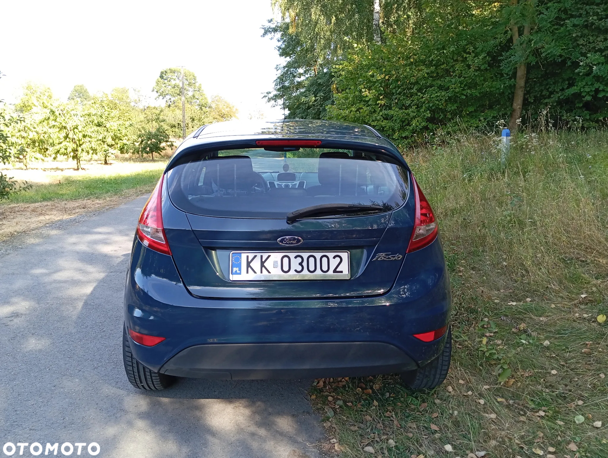 Ford Fiesta - 6