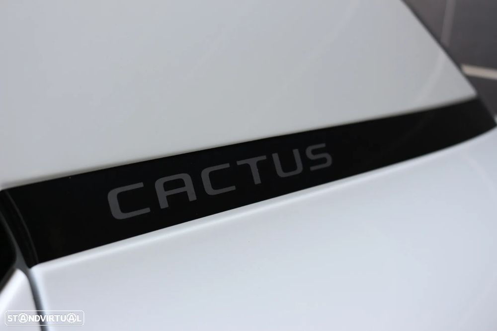 Citroën C4 Cactus PureTech 130 Stop&Start Origins - 14