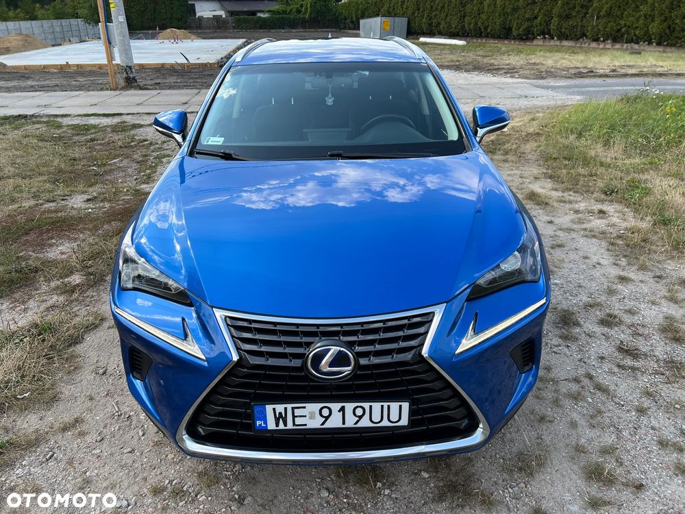 Lexus NX - 10