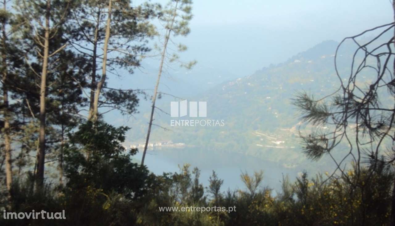 Venda Terreno, São Cristóvão de Nogueira, Cinfães - Grande imagem: 5/13