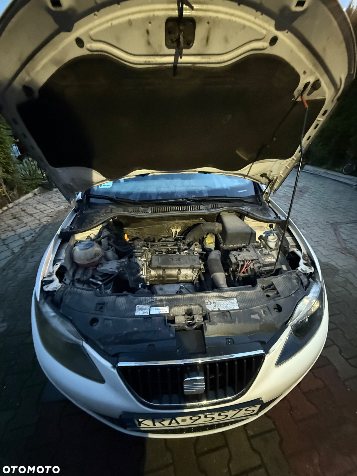 Seat Ibiza 1.2 12V Entry - 10