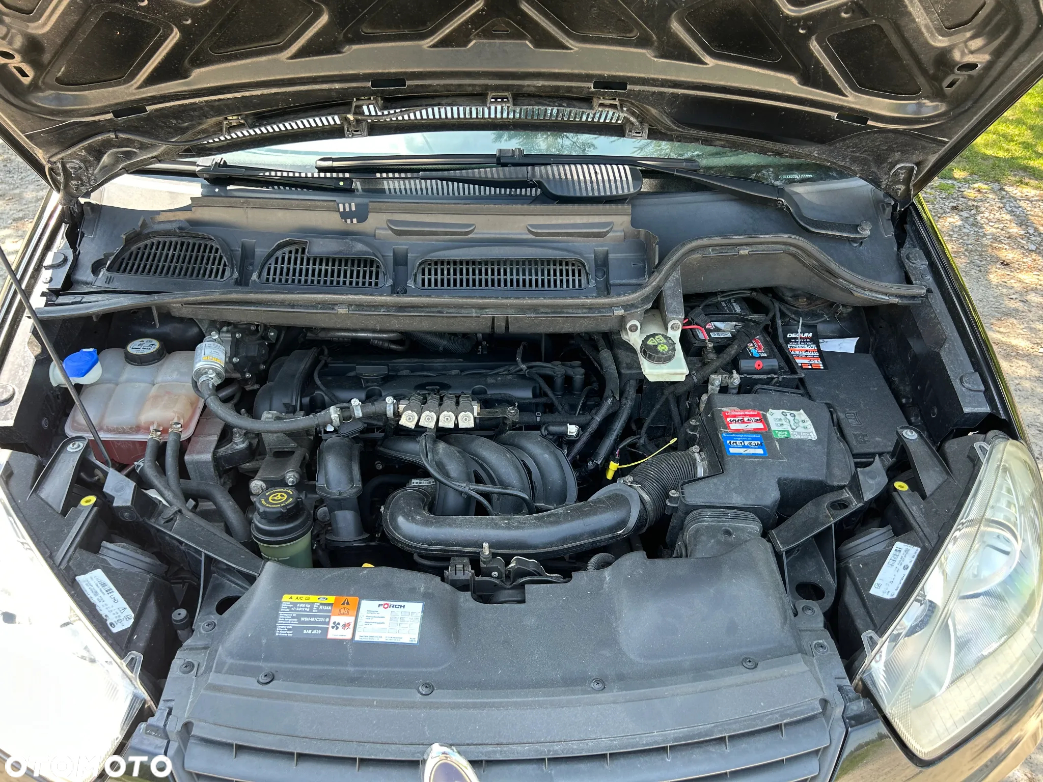 Ford Focus C-Max 1.6 FX Gold / Gold X - 17
