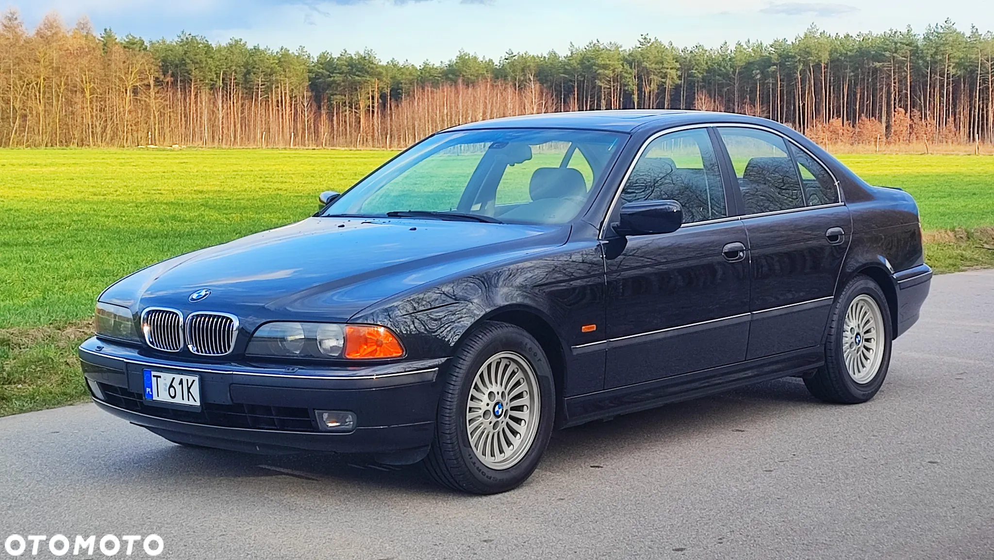 BMW Seria 5 - 4