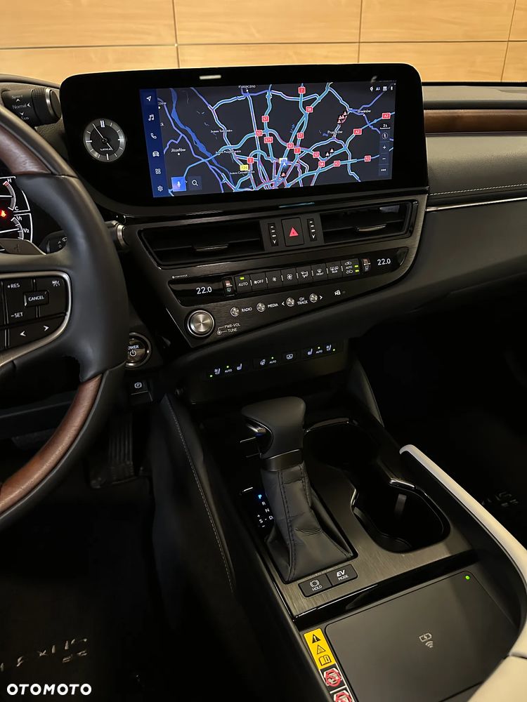Lexus ES 300h Omotenashi - 16