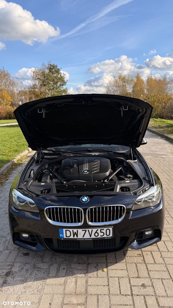 BMW Seria 5 520d Efficient Dynamics Luxury Line - 7