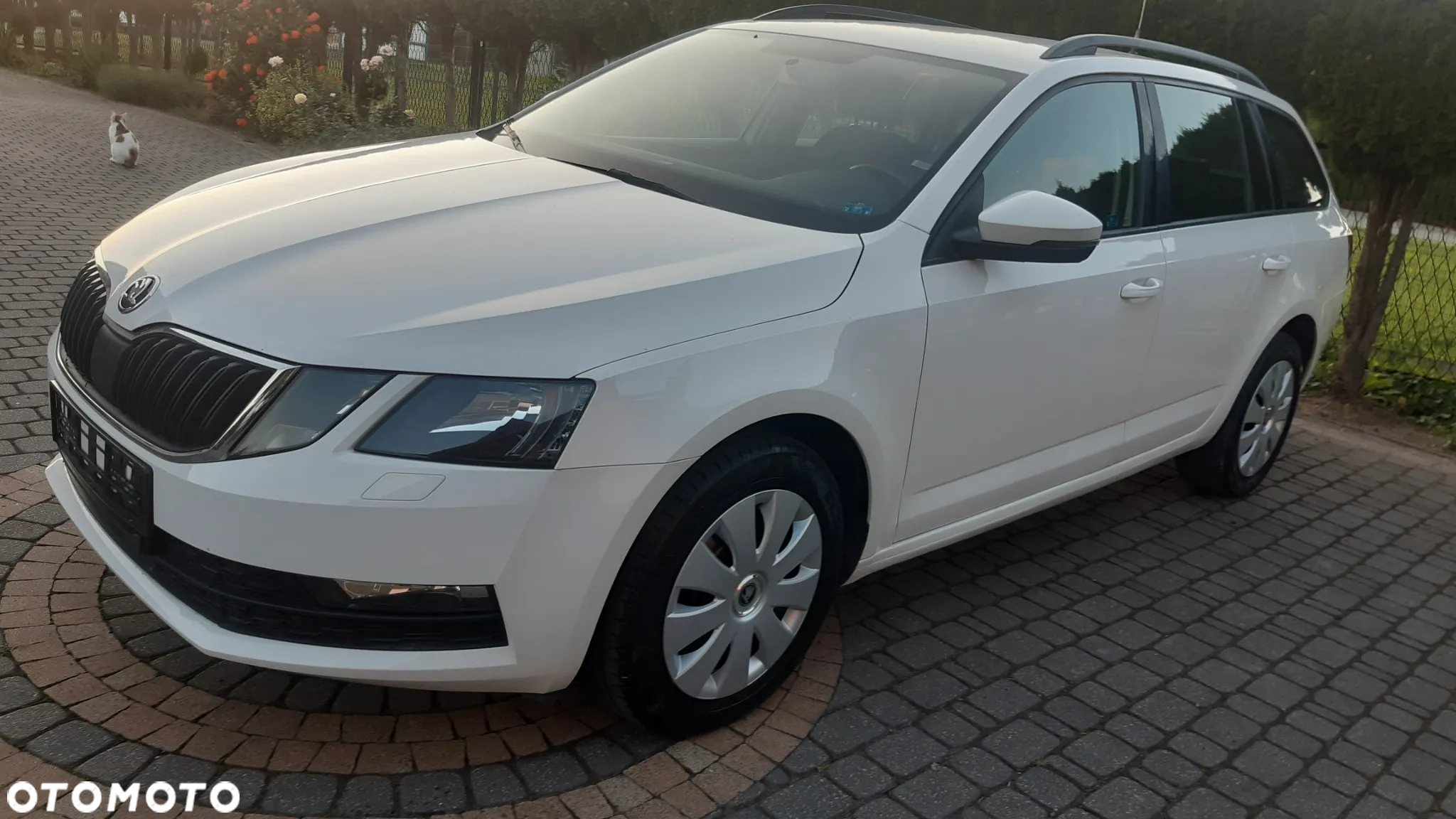 Skoda Octavia 1.6 TDI DSG Ambition - 21