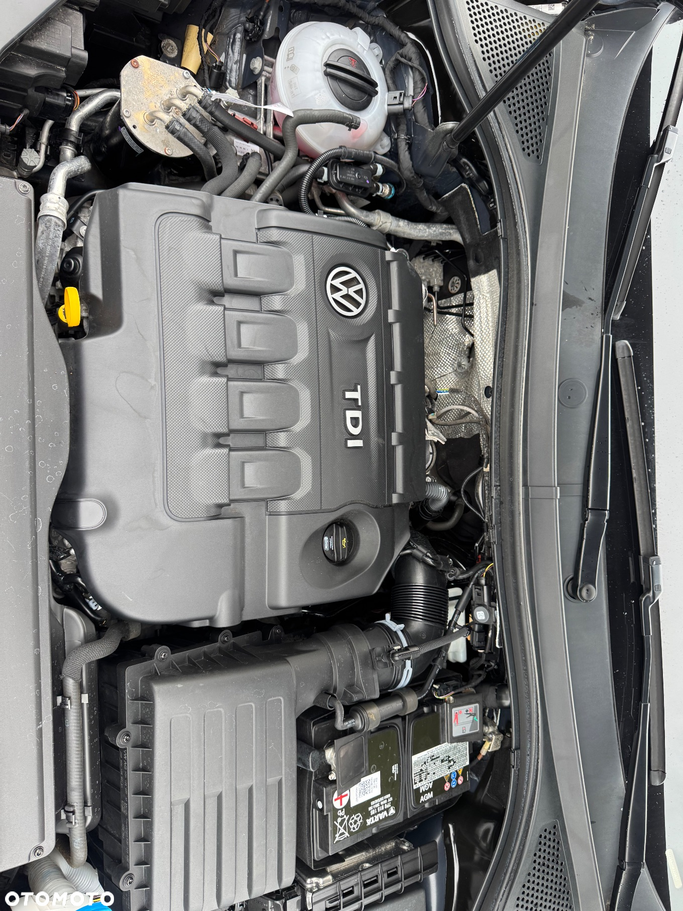 Volkswagen Tiguan - 38