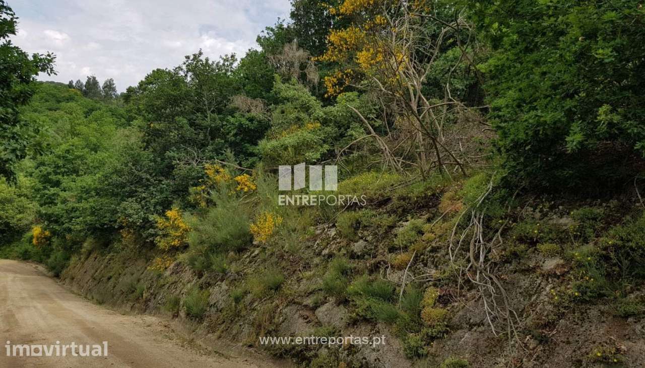 Venda Terreno, Frente Estrada, Ovil, Baião - Grande imagem: 3/11