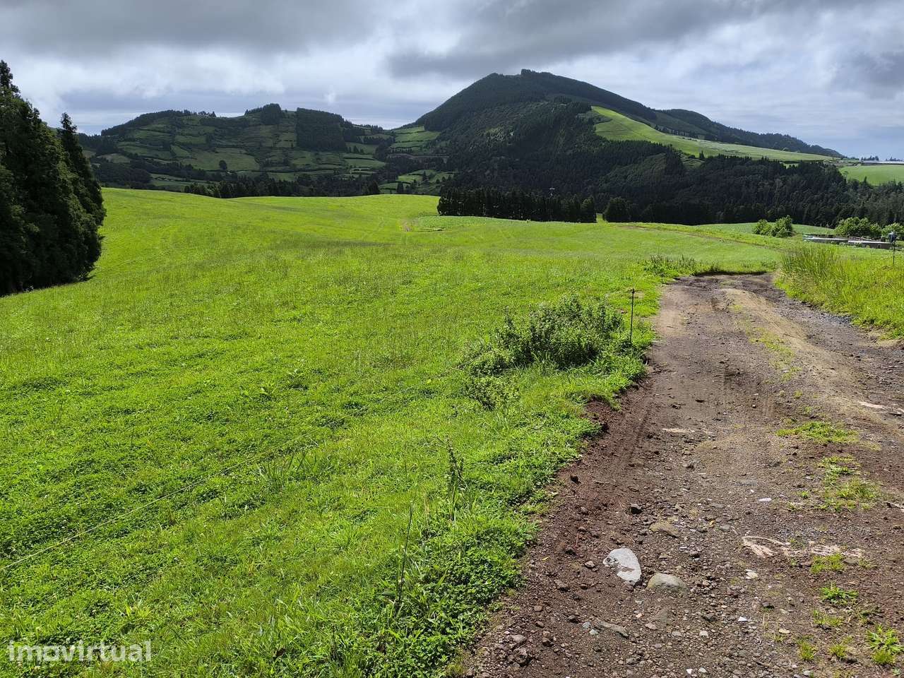 Terreno Rústico à Venda – 54,6032 Hectares Faial da Terra - Grande imagem: 2/11