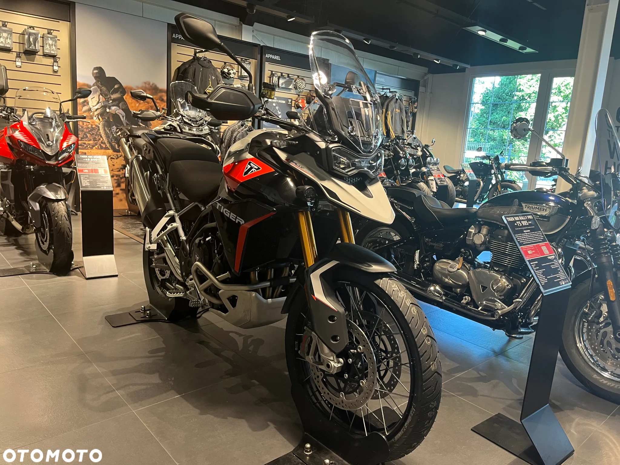Triumph Tiger