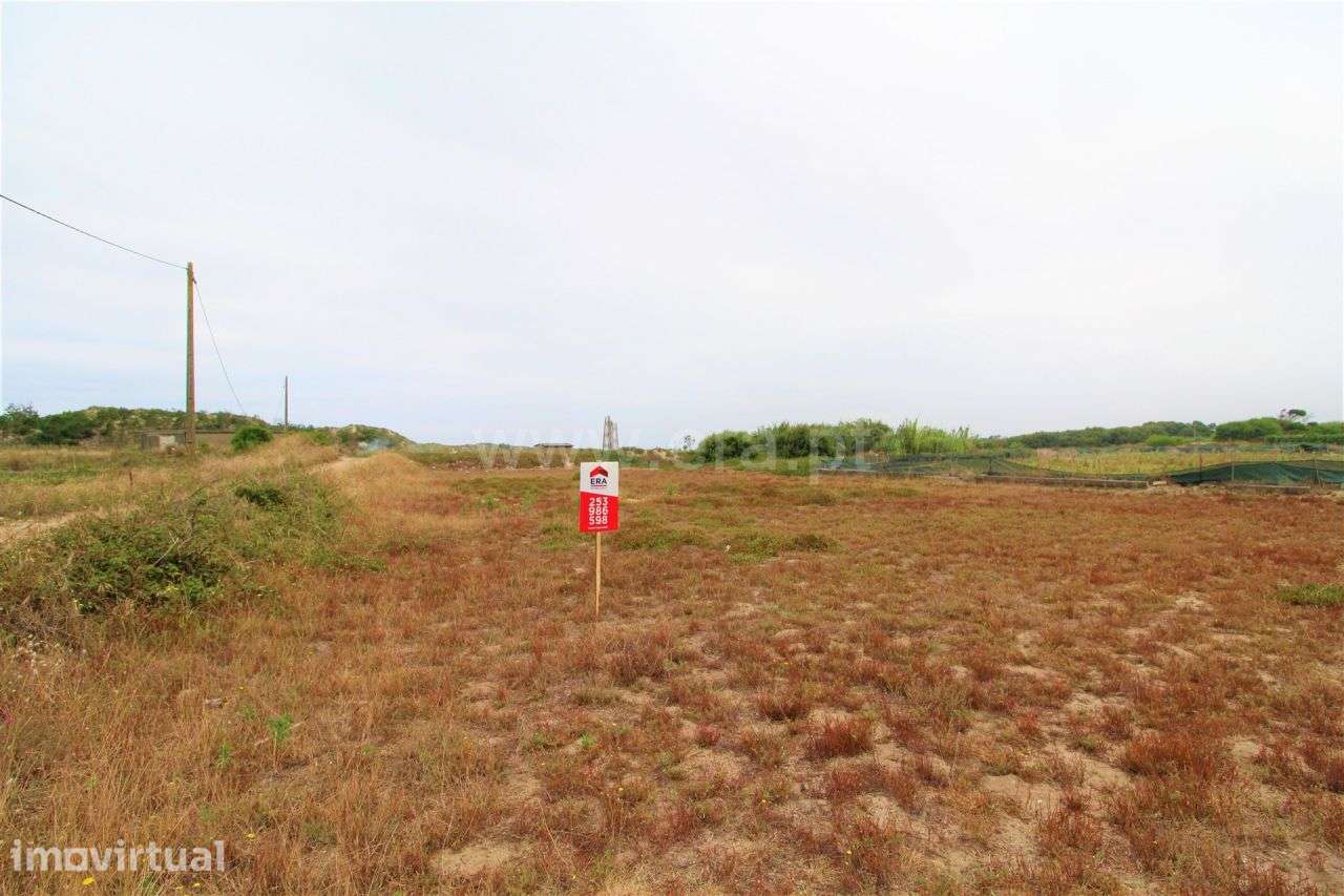 Terreno agrícola, Belinho, Esposende - Grande imagem: 2/4