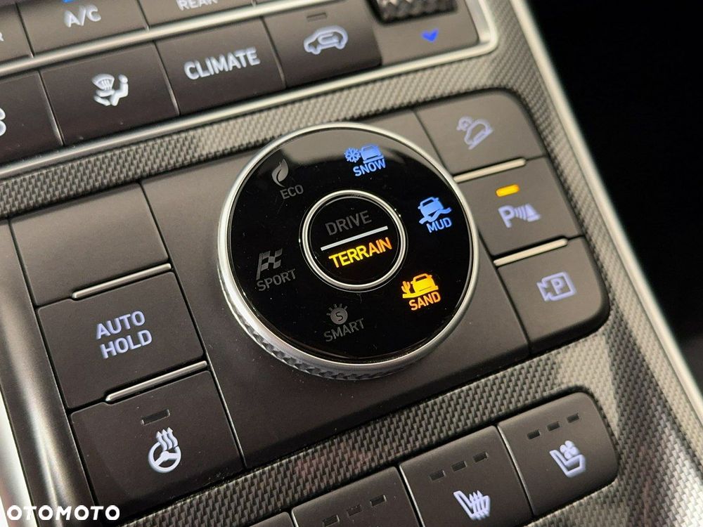 Hyundai Santa Fe - 31