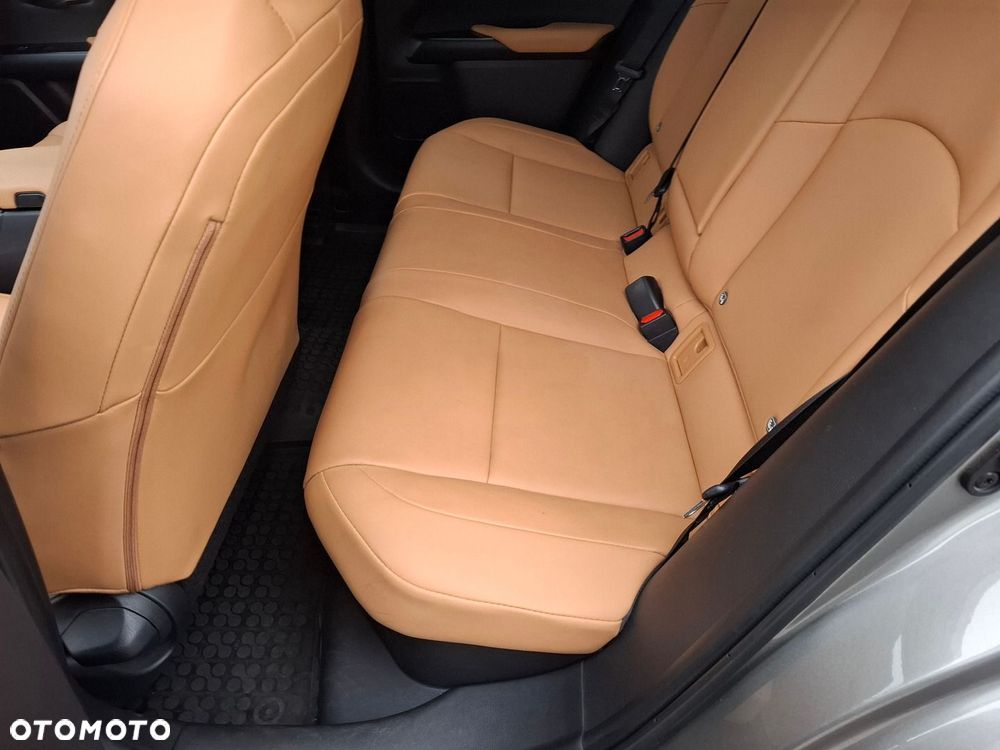 Lexus UX 250h GPF F Sport Design 2WD - 18