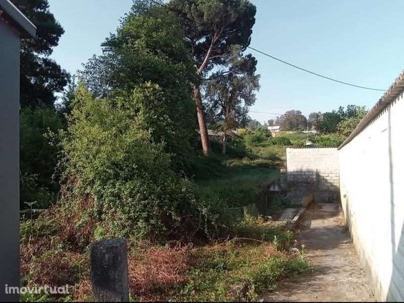 Terreno face da E.N 205(Prado/Barcelos) 3.200m2 - Grande imagem: 4/5