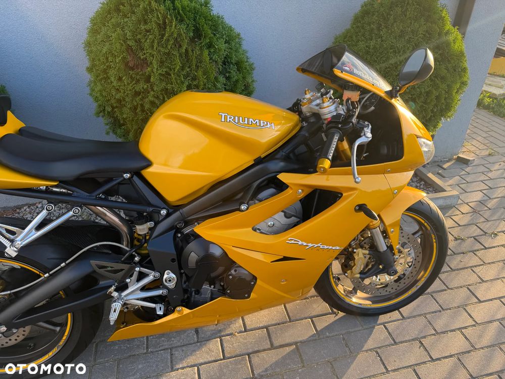 Triumph Daytona - 18