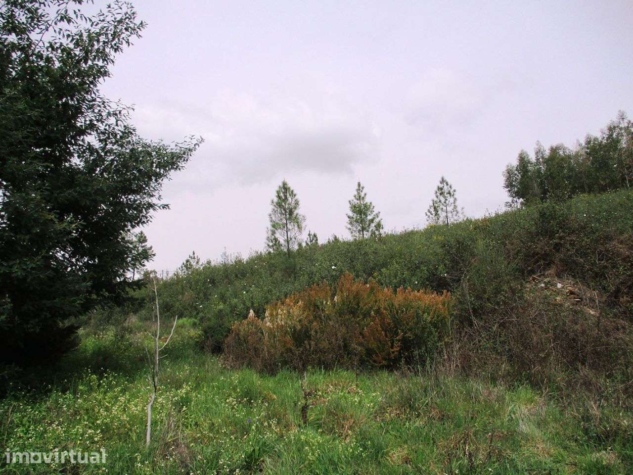 Terreno - Grande imagem: 2/5