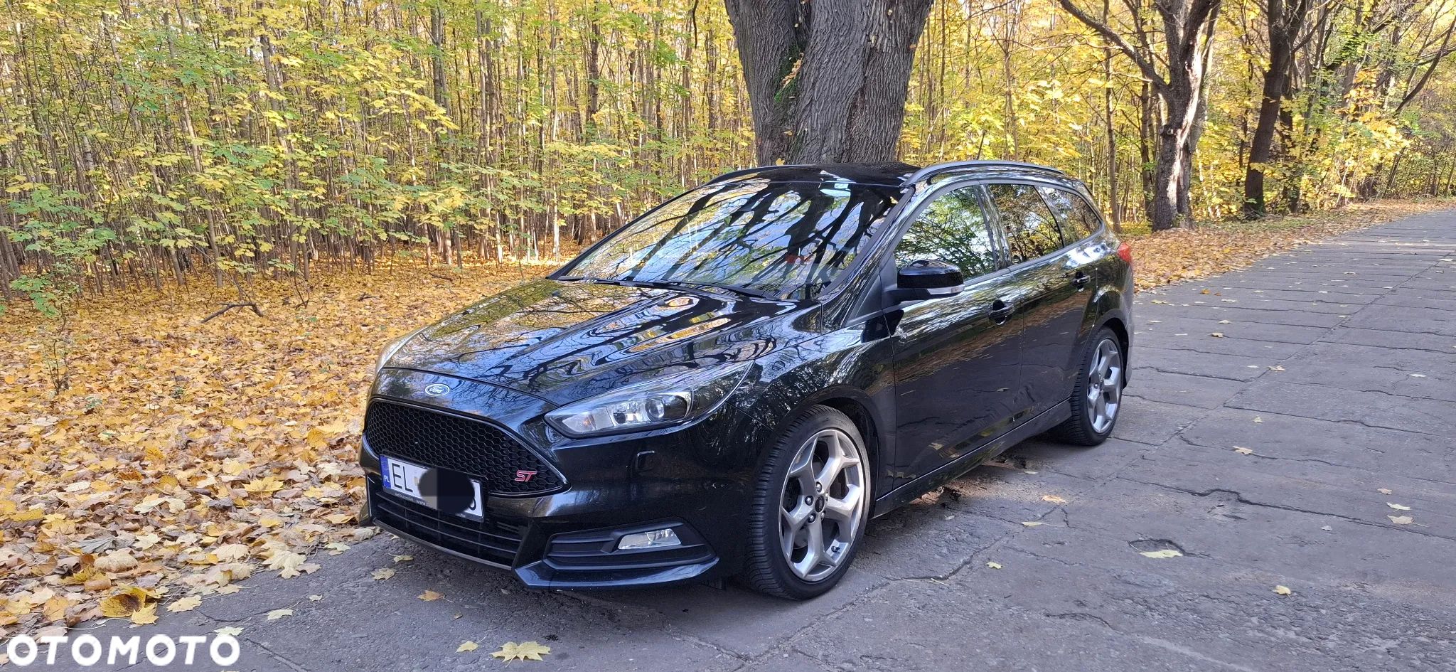 Ford Focus 2.0 EcoBoost ST - 1
