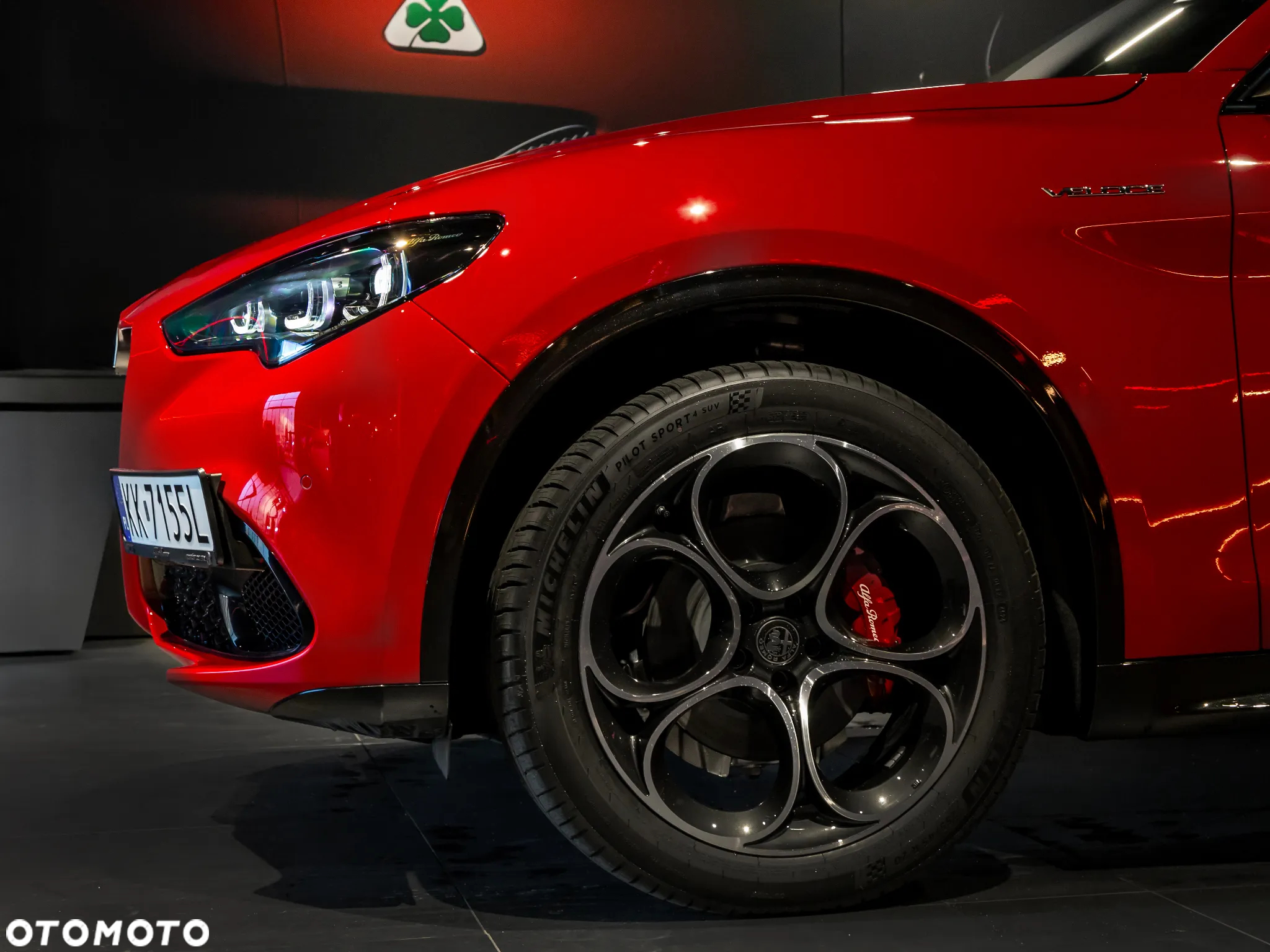 Alfa Romeo Stelvio 2.0 Turbo Veloce Q4 - 7