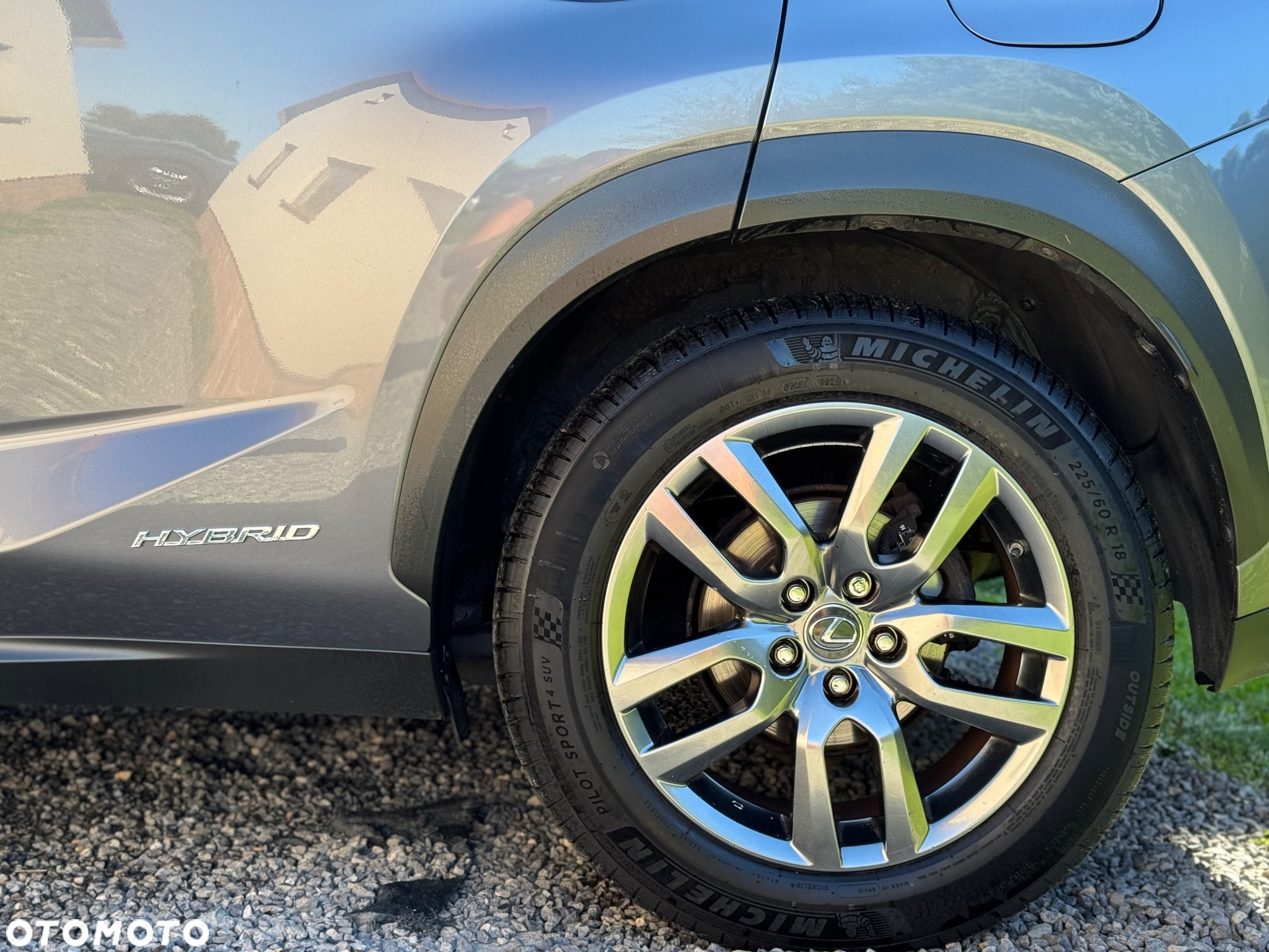 Lexus NX 350h F Sport AWD - 14