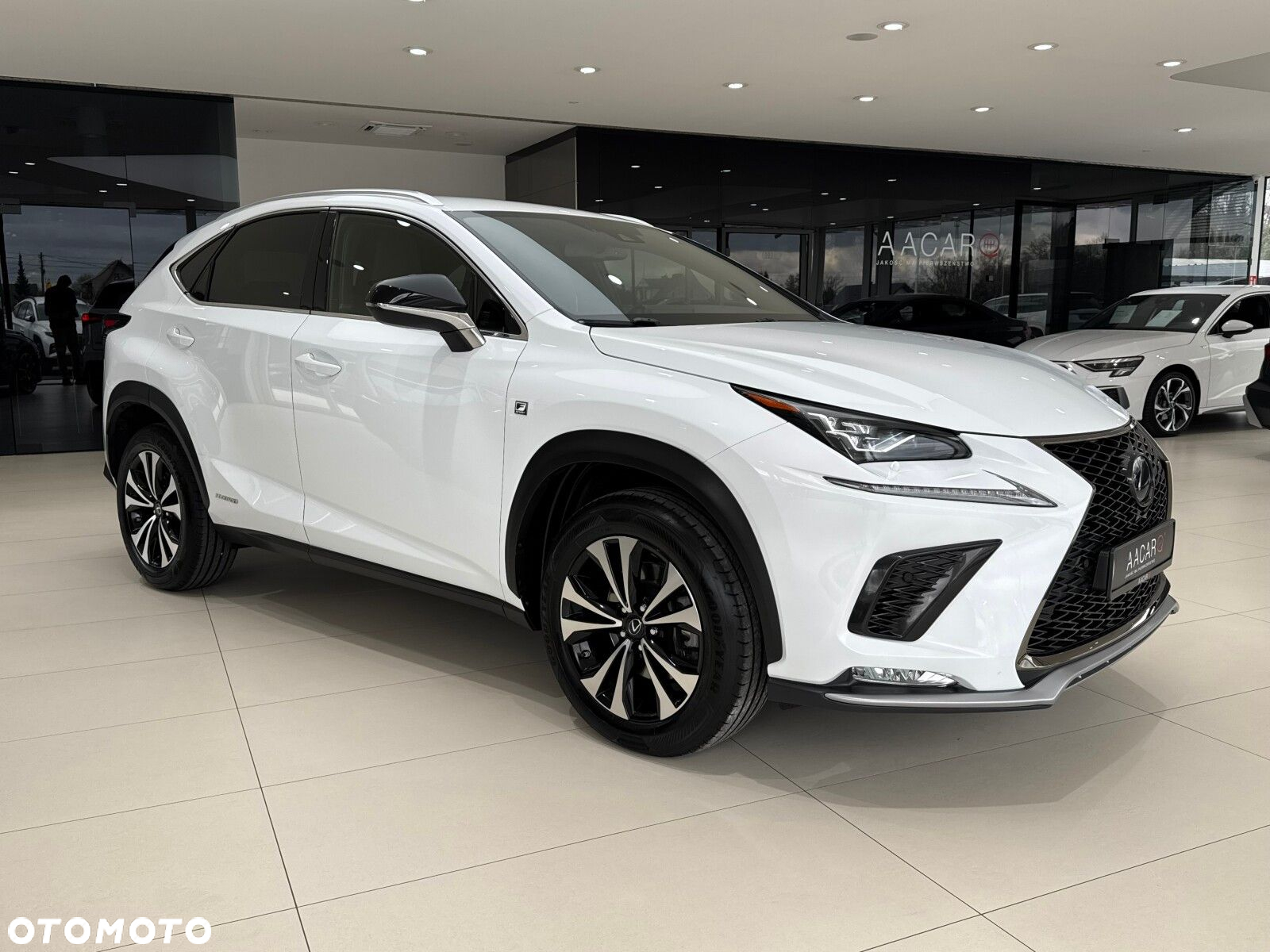 Lexus NX - 6