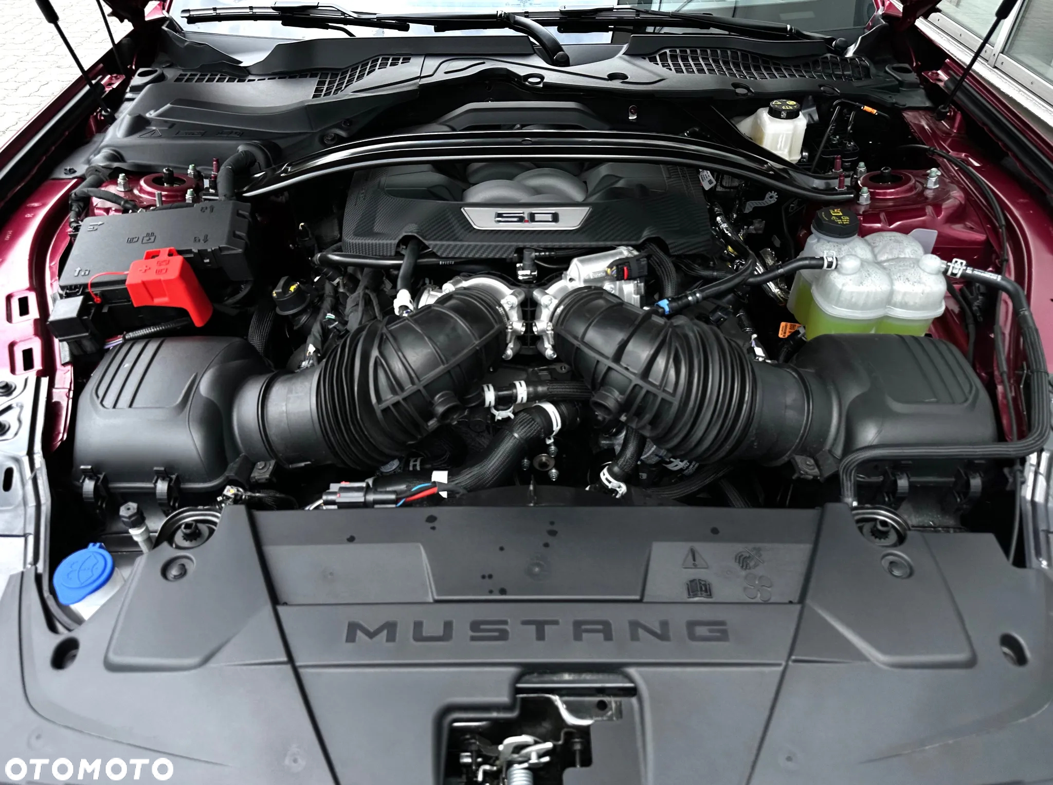 Ford Mustang 5.0 Ti-VCT V8 Dark Horse - 30