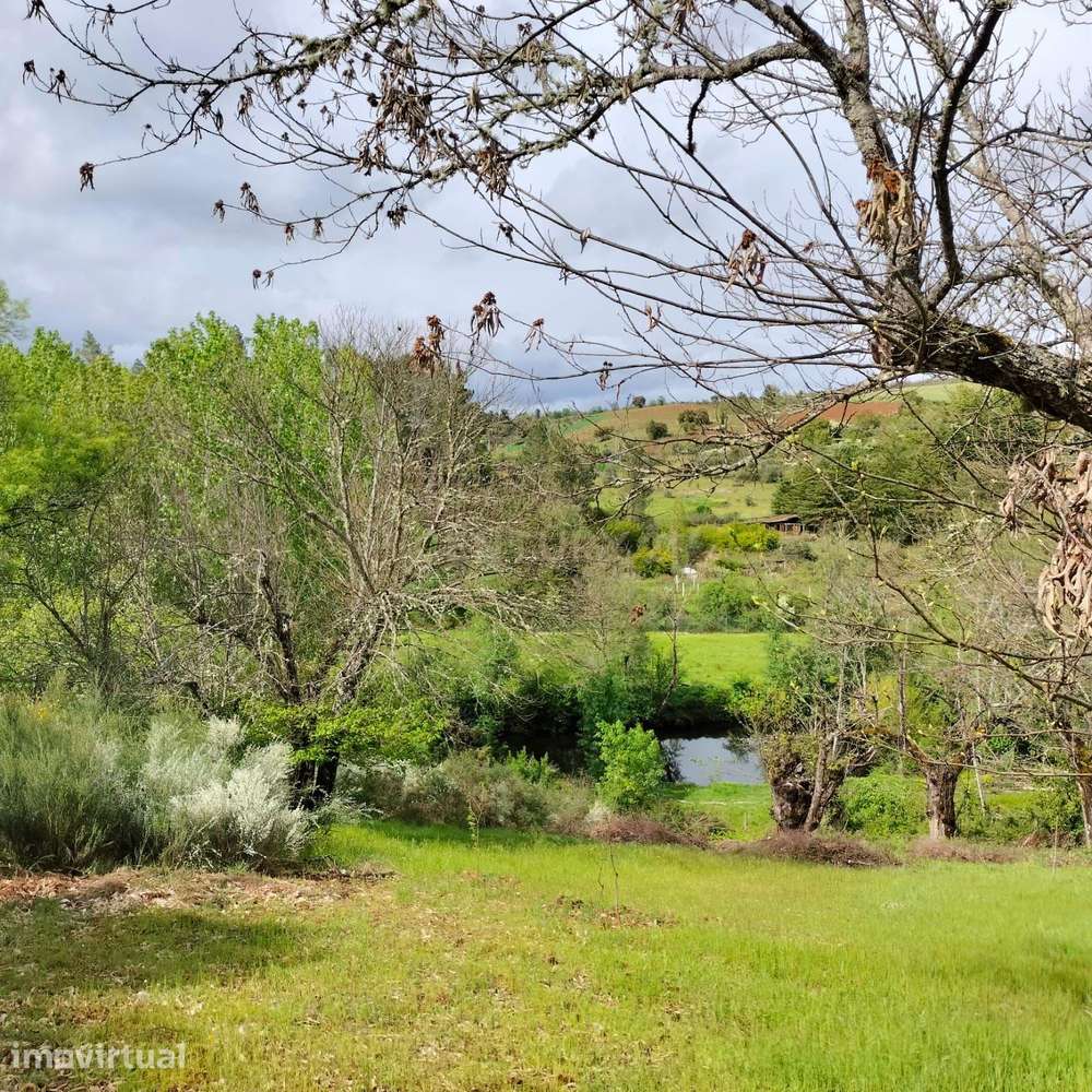 Terreno de 4.500 m² em Meixedo, Bragança — uma oportunidade para um pr - Grande imagem: 5/7