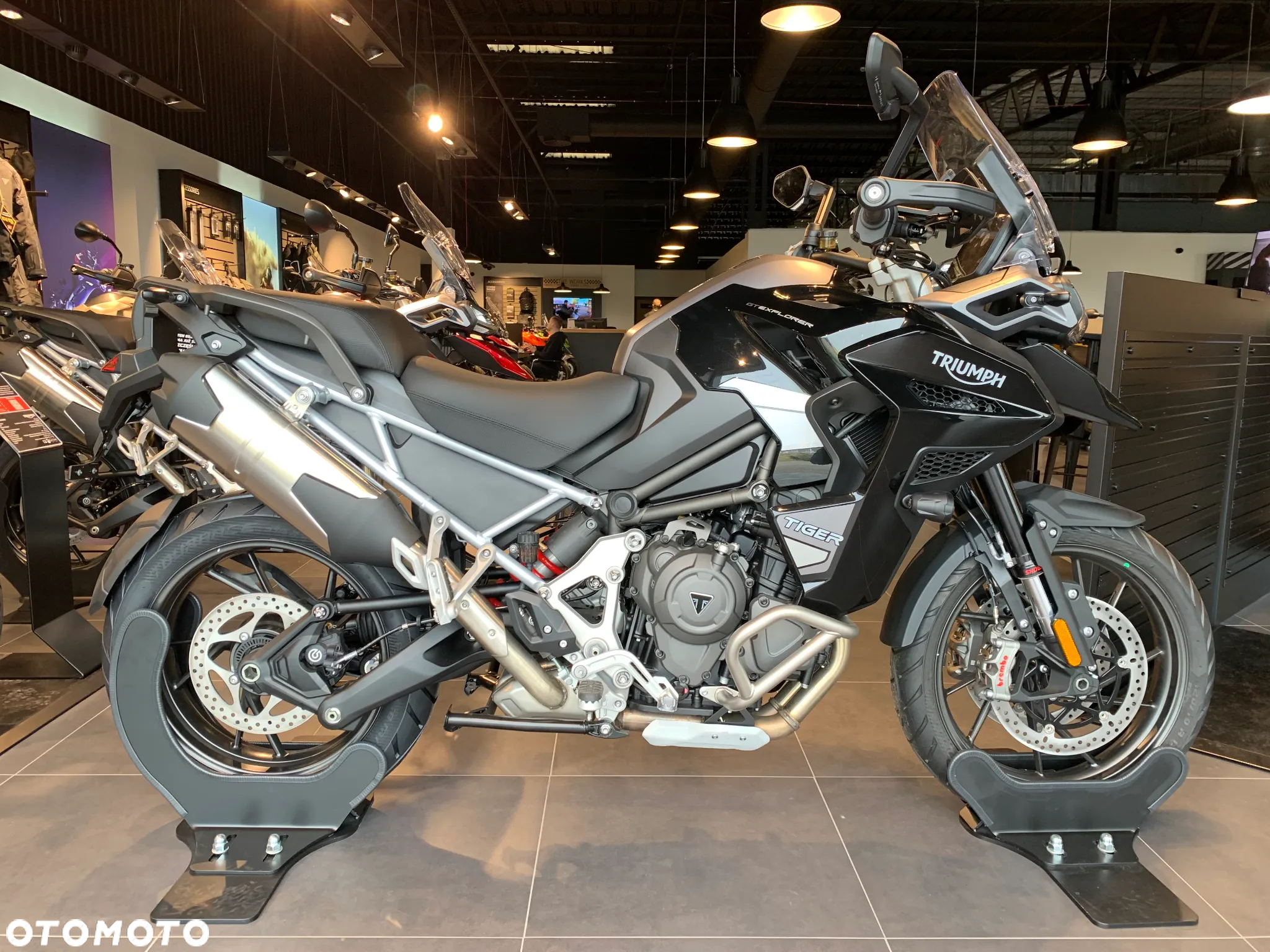 Triumph Tiger