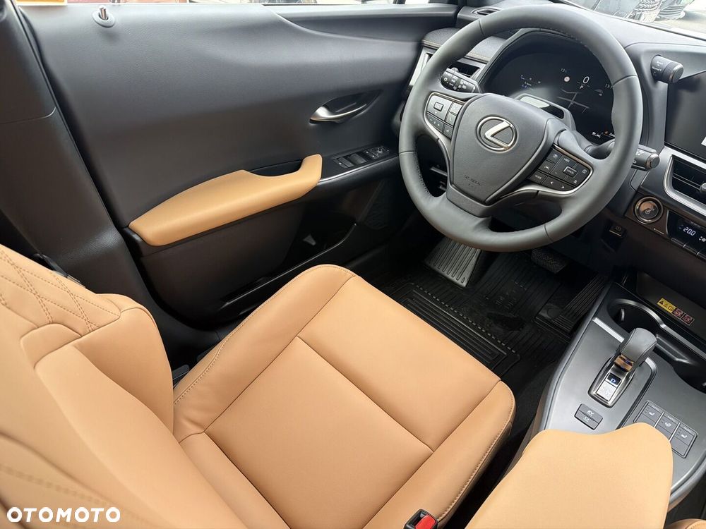 Lexus UX 300h F Sport Design - 13