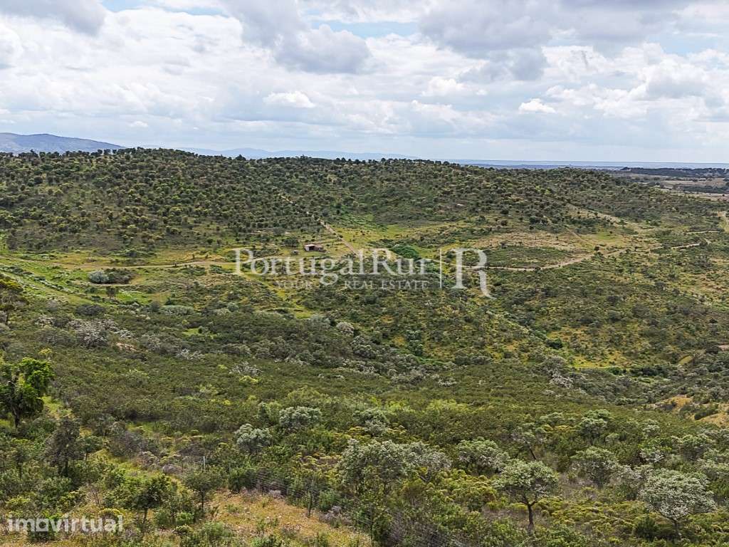 Herdade com 148 ha de Potencial Produtivo em Idanha-a-Nova - Grande imagem: 5/39