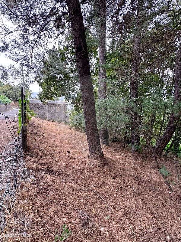 Terreno  para venda - Grande imagem: 5/14